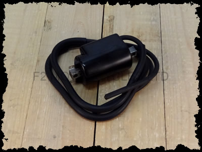 Twin output ignition coil